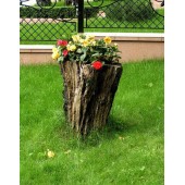 Декорация в пеньке